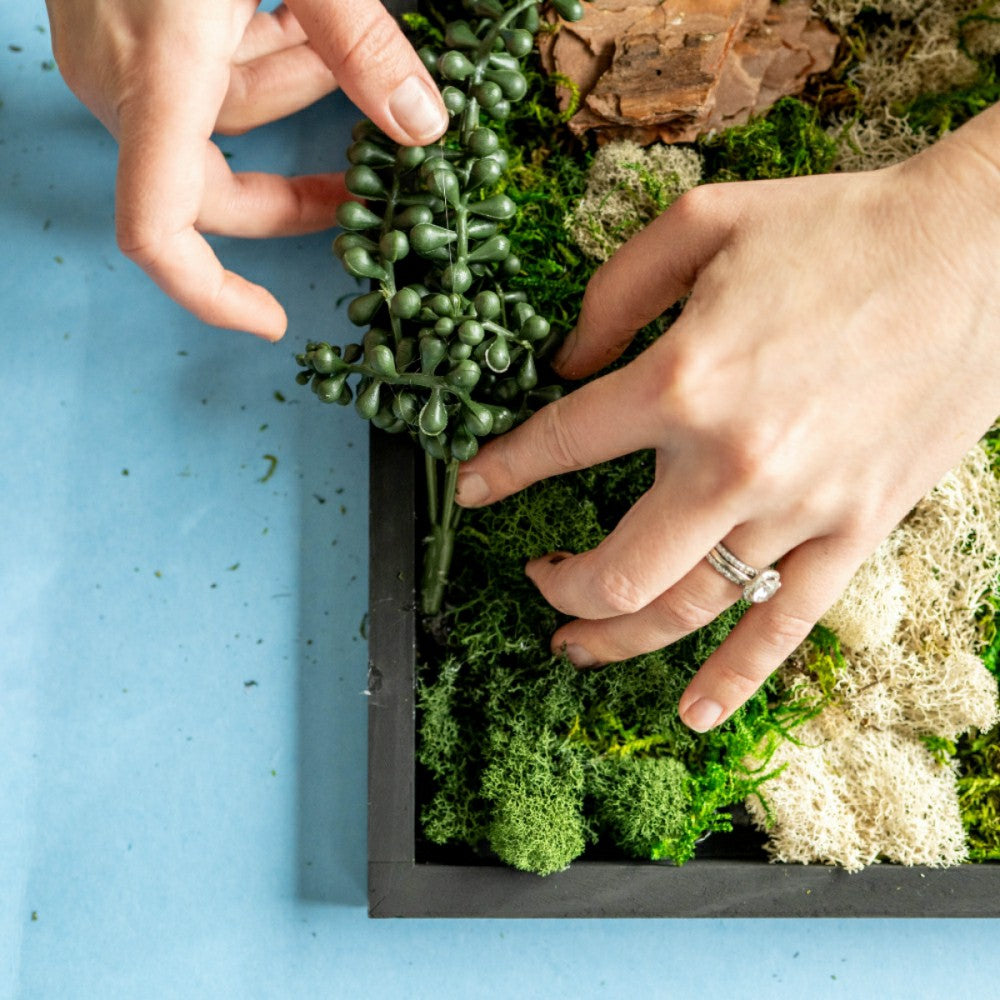 Plow & Hearth Moss Wall Kit