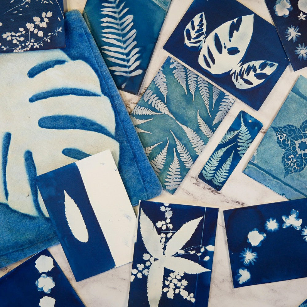 Plow & Hearth Cyanotype Kit