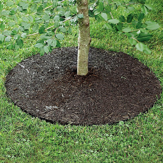 Plow & Hearth Permanent Mulch Tree Ring, 24" dia.