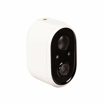 Plow & Hearth LED Smart Hummingbird Feeder with Camera