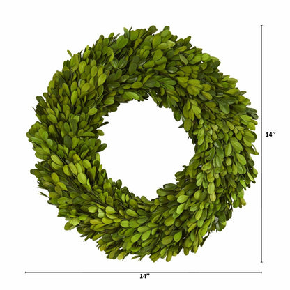 Plow & Hearth 14” Preserved Boxwood Wreath
