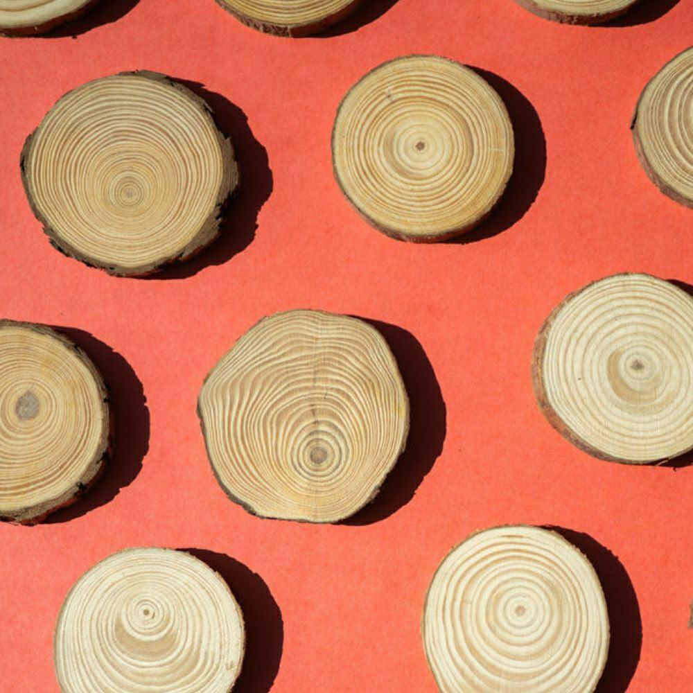 Plow & Hearth Spring Wood Slice Wreath Kit