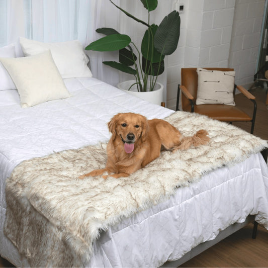 Plow & Hearth PupProtector™ Waterproof Bed Runner - White with Brown Accents