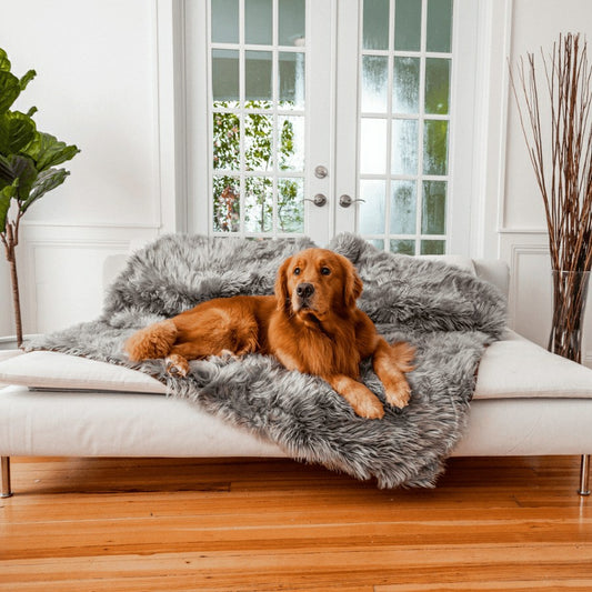 Plow & Hearth PupProtector™ Waterproof Throw Blanket - Charcoal Grey