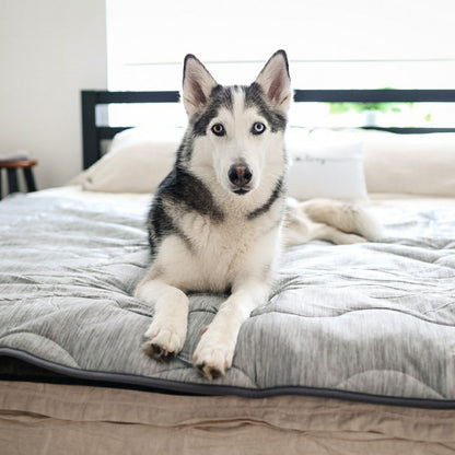 Plow & Hearth PupChill™ Cooling Waterproof Blanket - Arctic Grey