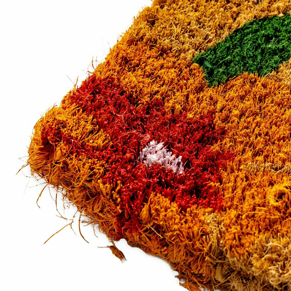 Plow & Hearth Spring Welcome Coir Doormat