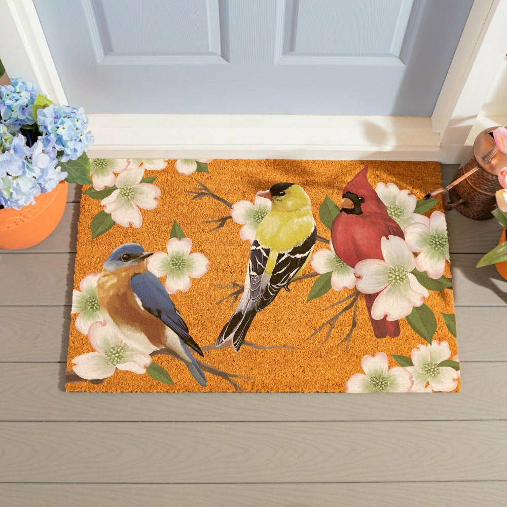 Plow & Hearth What She Shed Bird Bunch, Coir Mat, 36"x24"