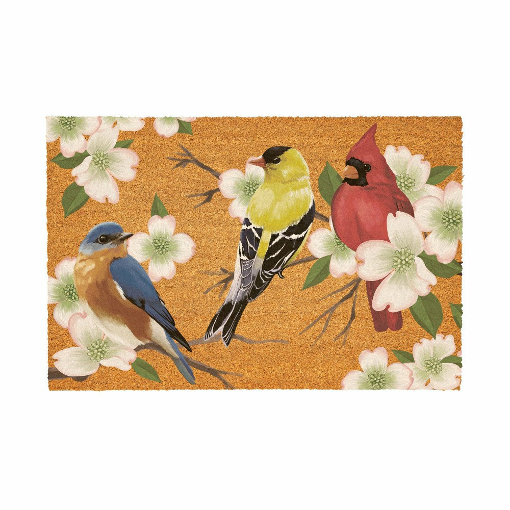 Plow & Hearth What She Shed Bird Bunch, Coir Mat, 36"x24"