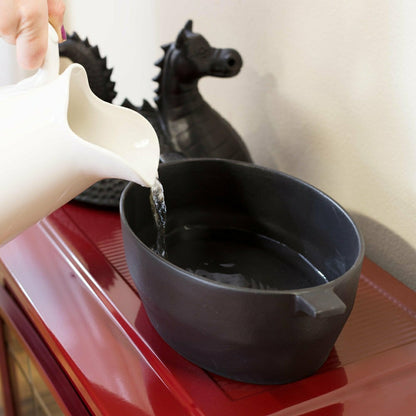 Plow & Hearth Dragon Cast Iron Steamer