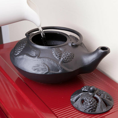 Plow & Hearth Iron Pine Cone Steamer