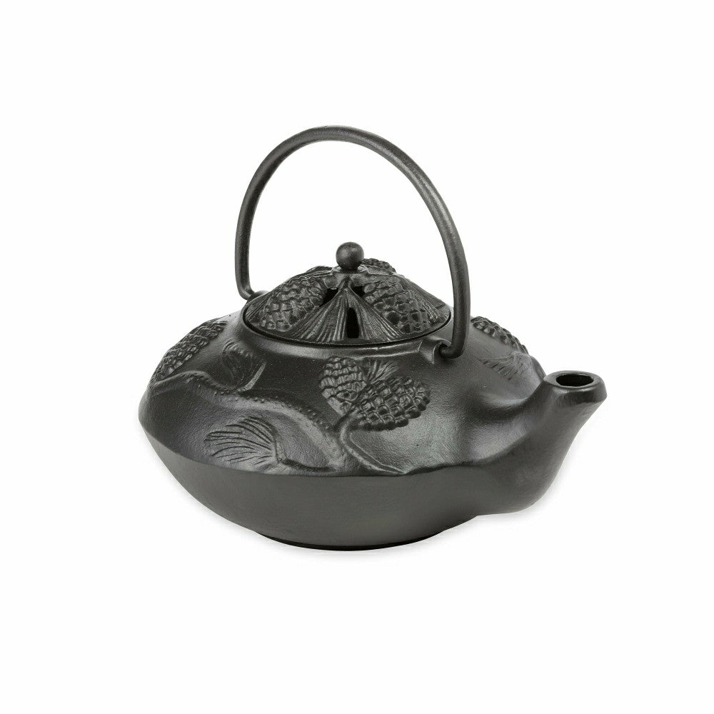Plow & Hearth Iron Pine Cone Steamer