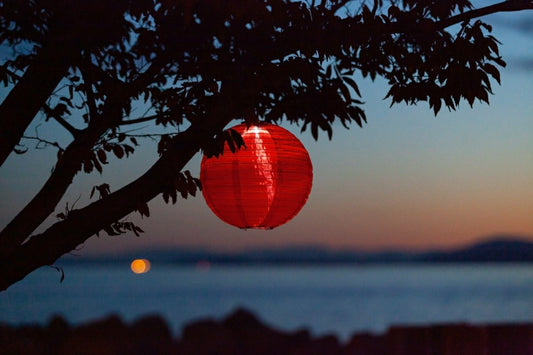 Plow & Hearth Soji Festival 12" Round Solar Lantern