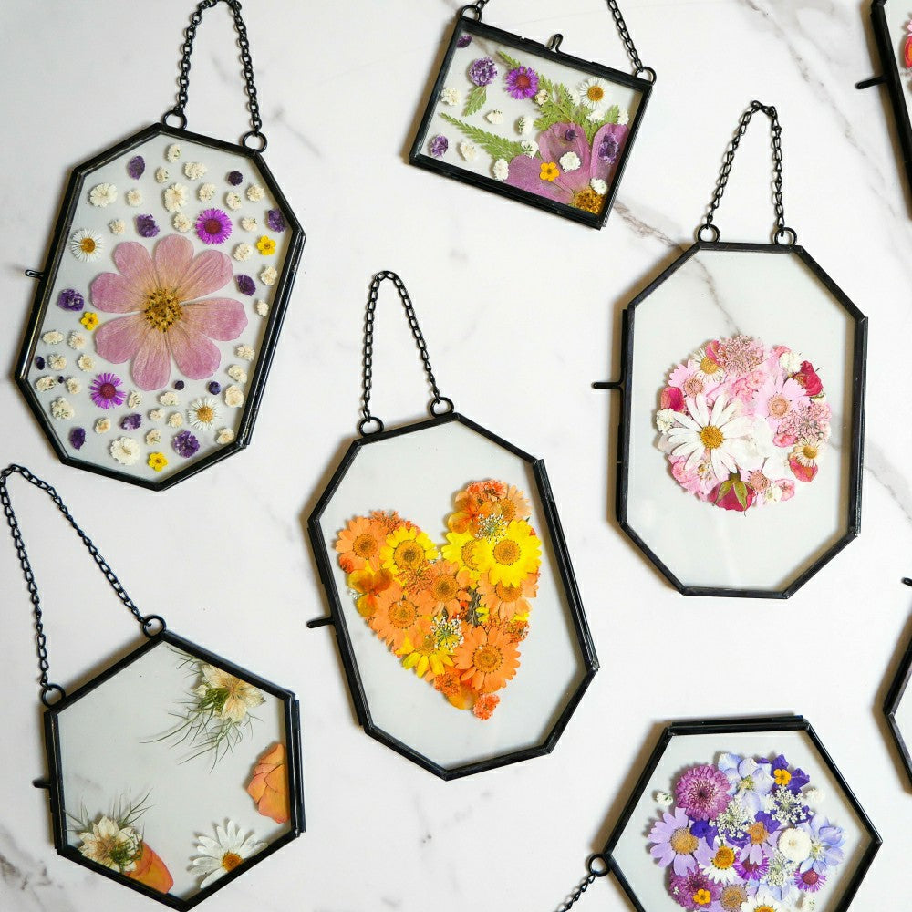 Plow & Hearth Framed Pressed Flowers Kit