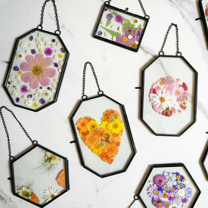 Plow & Hearth Framed Pressed Flowers Kit