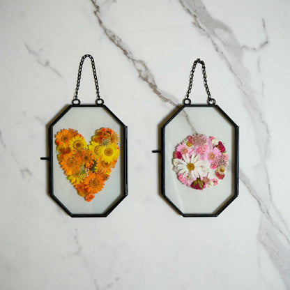 Plow & Hearth Framed Pressed Flowers Kit