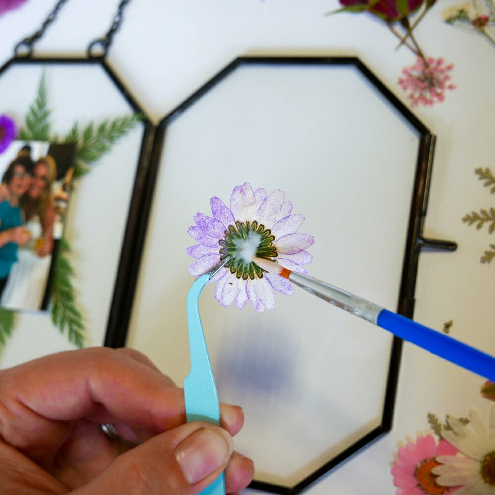 Plow & Hearth Framed Pressed Flowers Kit