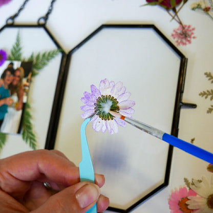 Plow & Hearth Framed Pressed Flowers Kit