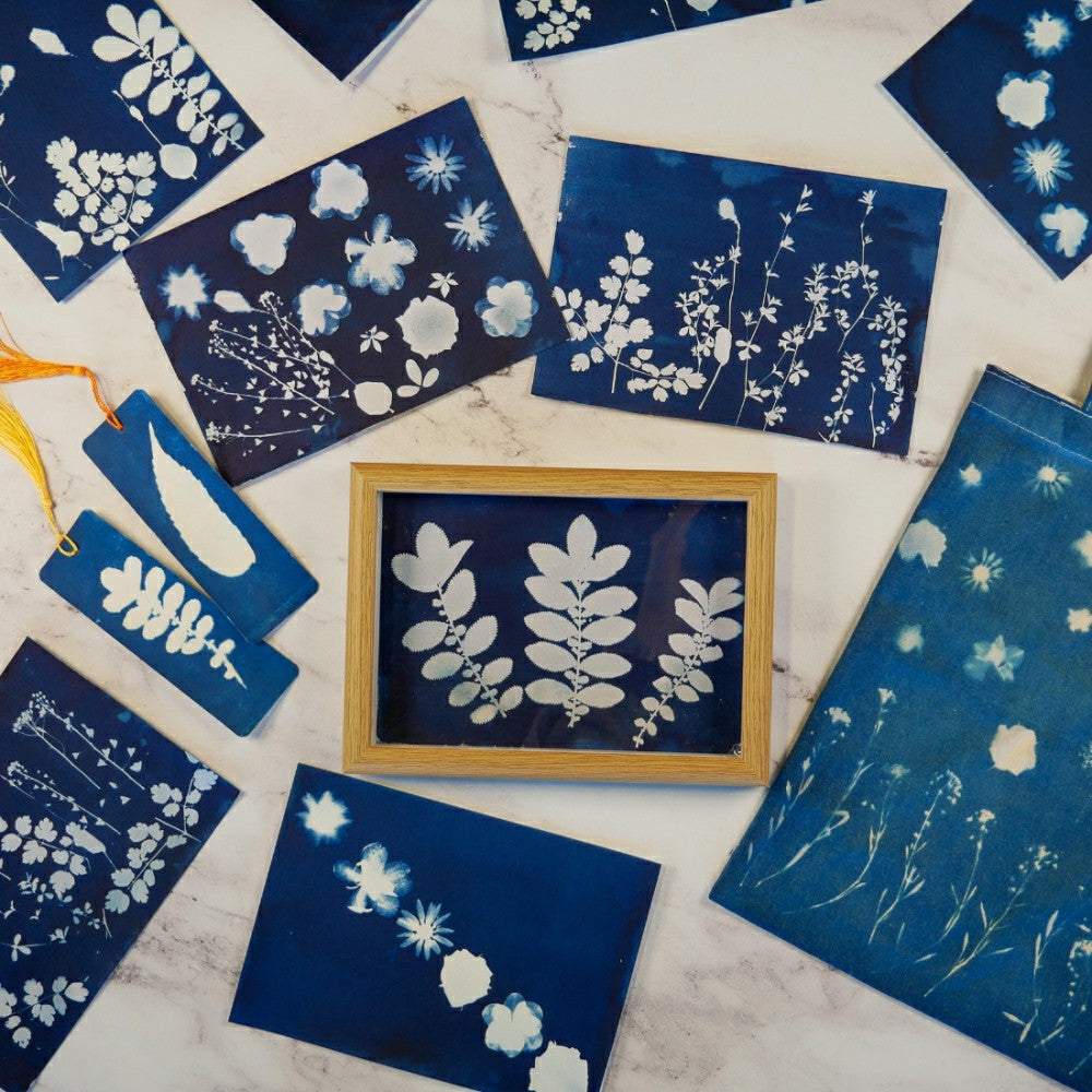 Plow & Hearth Cyanotype Kit