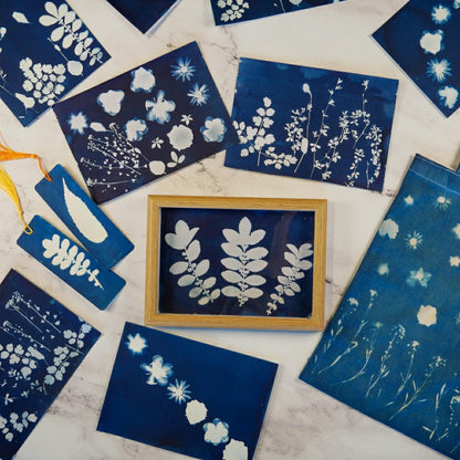 Plow & Hearth Cyanotype Kit