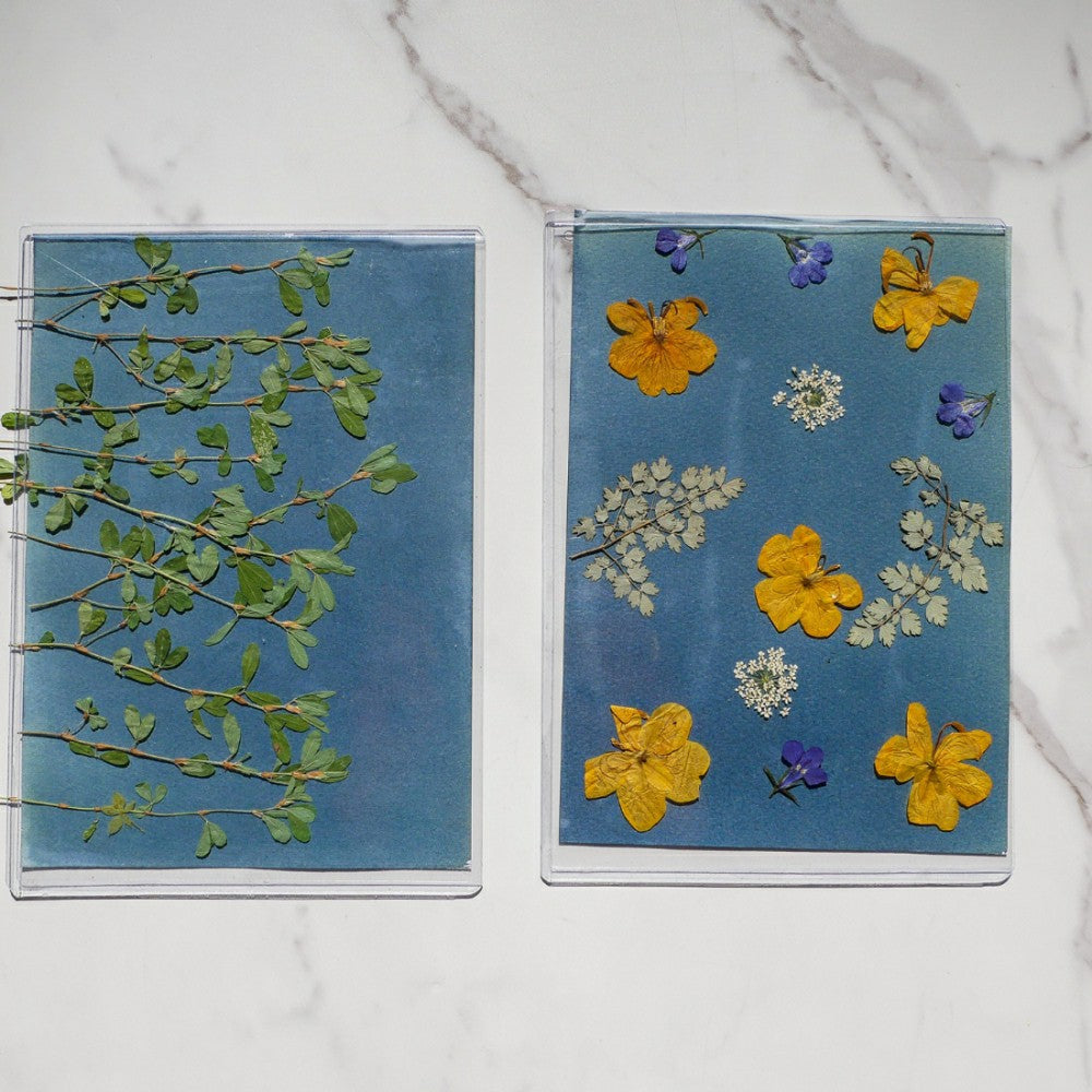 Plow & Hearth Cyanotype Kit