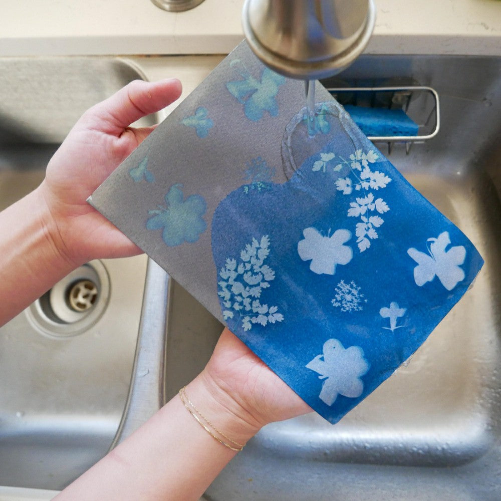 Plow & Hearth Cyanotype Kit