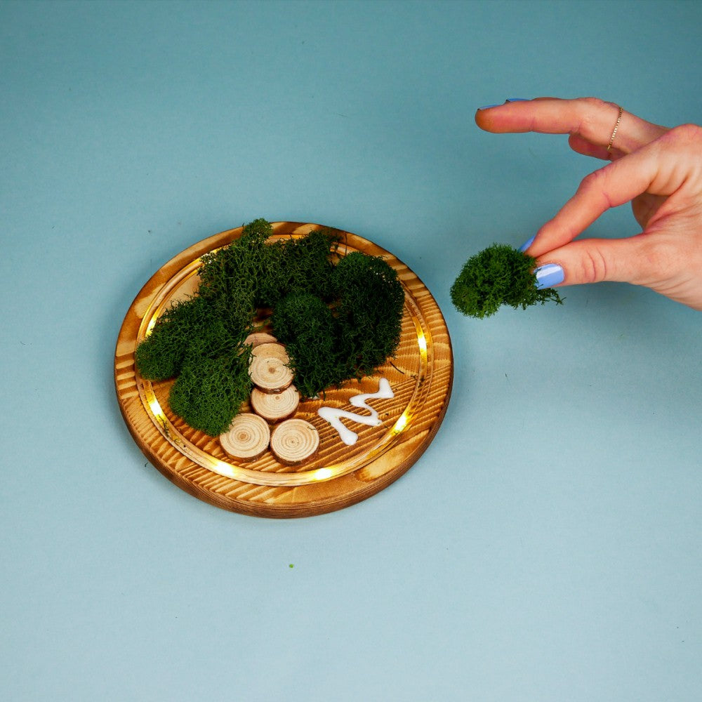 Plow & Hearth LED Fairy Garden Kit