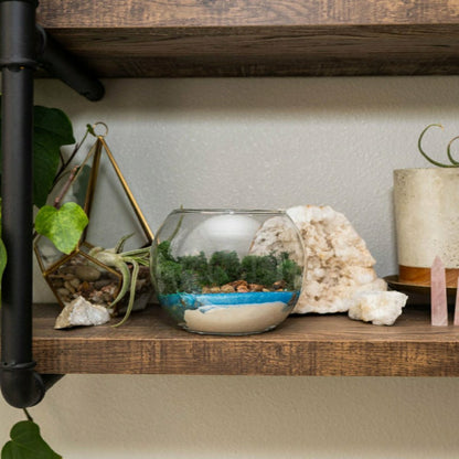 Plow & Hearth Resin Terrarium Kit