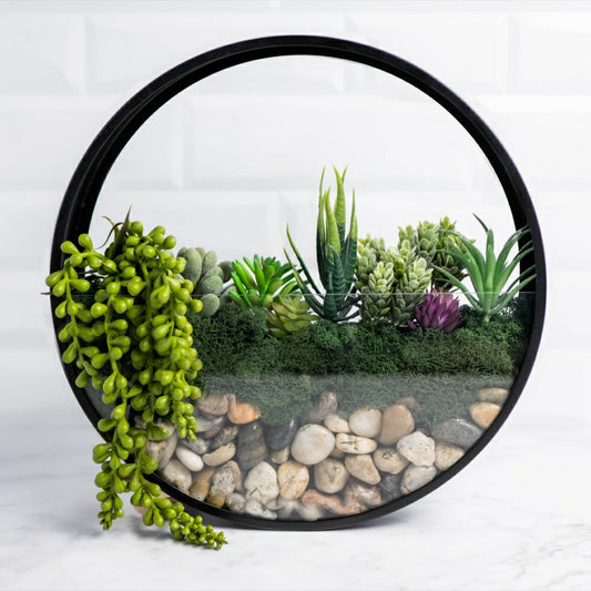 Plow & Hearth Wall Terrarium Kit
