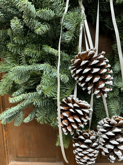 Plow & Hearth Noble Fir and Pinecone Fresh Wreath, 20"