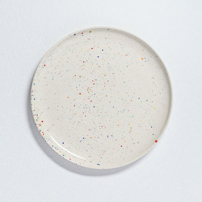 Plow & Hearth White Stoneware Ceramic Dinner Plates 11", Set of 6