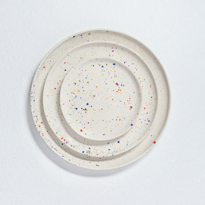 Plow & Hearth White Stoneware Ceramic Dinner Plates 11", Set of 6